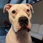 Profile picture of Lip Neal