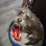 Profile picture of Bam Bam