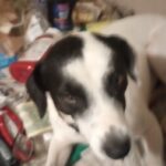 Profile picture of Sam