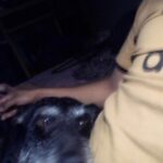 Profile picture of Spik