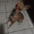 Profile picture of Scooby.jr