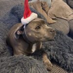 Profile picture of Lilo