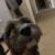 Profile picture of Lulu