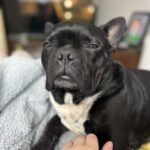 Profile picture of Arthur