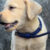 Profile picture of Alban