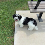Profile picture of Jaxx