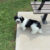 Profile picture of Jaxx