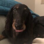Profile picture of Max