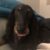 Profile picture of Max