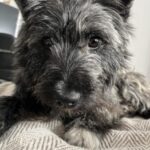 Profile picture of Andi