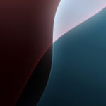 Profile picture of Bzzbs