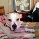 Profile picture of Aurora
