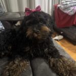 Profile picture of Stormi