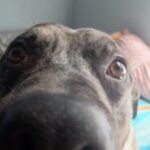 Profile picture of Way-way