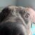 Profile picture of Way-way