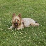 Profile picture of Carmen