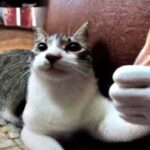 Profile picture of Monthy