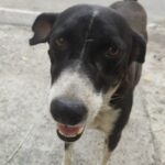 Profile picture of Zeus
