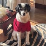 Profile picture of Bella