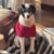 Profile picture of Bella