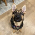 Profile picture of Aella
