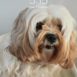 Profile picture of Lexie