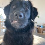 Profile picture of Nika