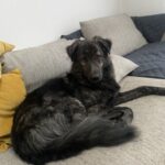 Profile picture of Thor