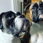 Profile picture of Lottie&Reggie