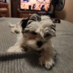 Profile picture of Jaxxin
