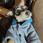 Profile picture of Káiser