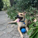Profile picture of Pipo