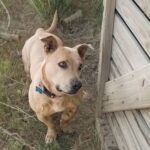 Profile picture of Sandy