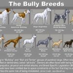 Group logo of Bully Breeds