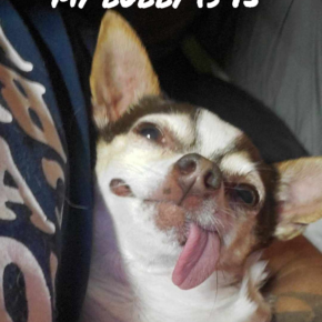 1000001570 