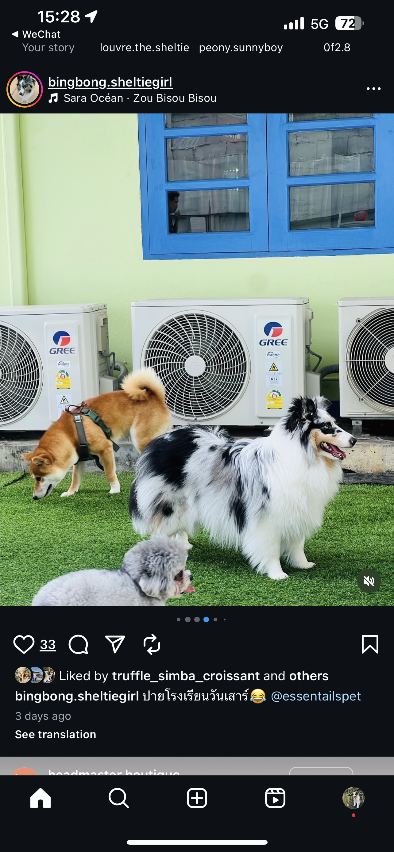 image_picker_C50AF557-E2E9-4C7D-B406-ACE00EE6A60F-25377-000024BB40D9C539