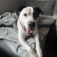 Wall photo Gallery