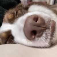 Wall photo Gallery