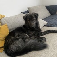 Wall photo Gallery